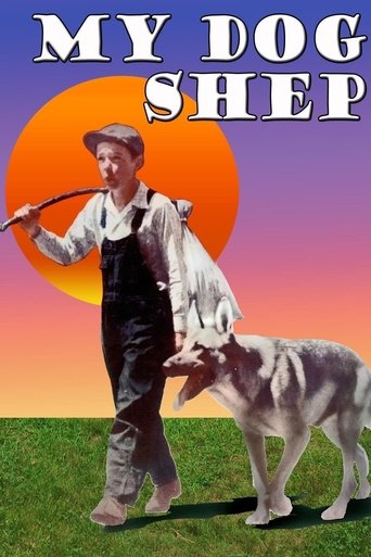 My Dog Shep Poster of My Dog Shep