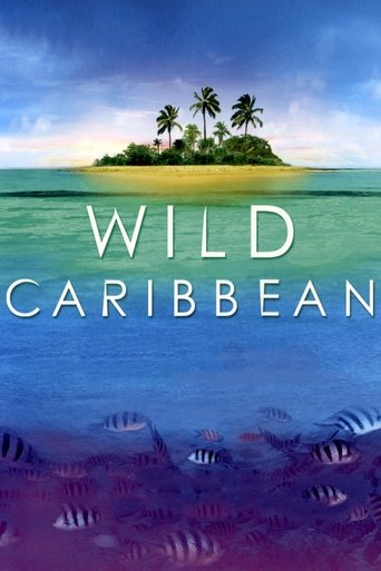 Wild Caribbean Poster of Wild Caribbean