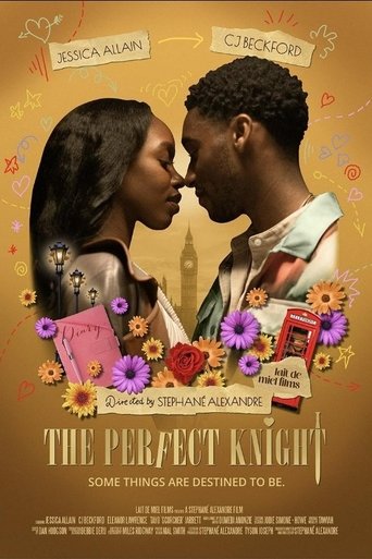 The Perfect Knight Poster of The Perfect Knight