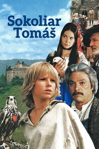 Tomáš and the Falcon King Poster of Tomáš and the Falcon King