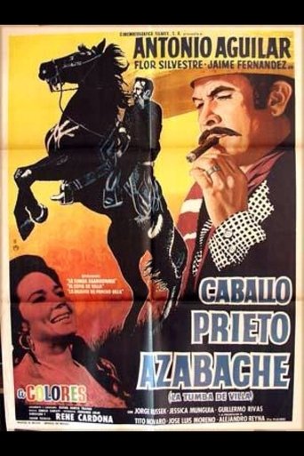 Caballo prieto azabache Poster of Caballo prieto azabache