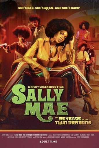 Sally Mae: The Revenge Of The Twin Dragons Poster of Sally Mae: The Revenge Of The Twin Dragons