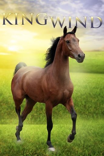King of the Wind Poster of King of the Wind