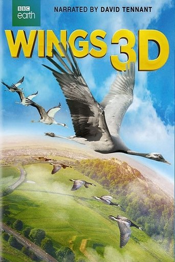 Wings 3D Poster of Wings 3D