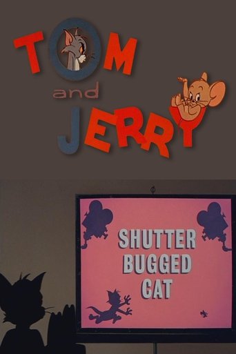 Shutter Bugged Cat Poster of Shutter Bugged Cat