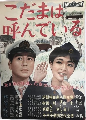 Echo Mountain Poster of Echo Mountain