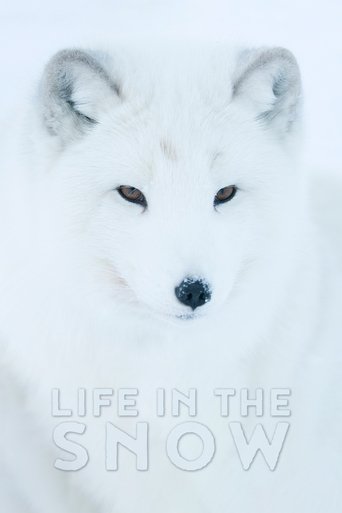 Life In The Snow Poster of Life In The Snow