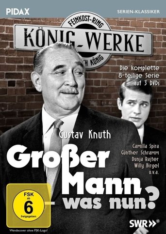 Großer Mann, was nun? Poster of Großer Mann, was nun?