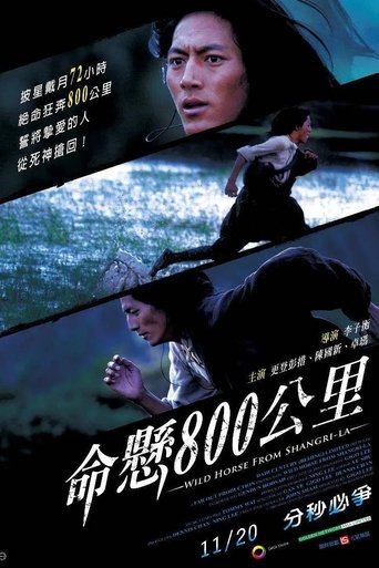 Wild Horse from Shangri-La Poster of Wild Horse from Shangri-La