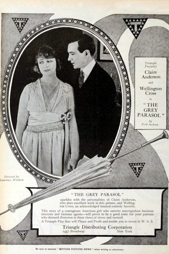 The Grey Parasol Poster of The Grey Parasol