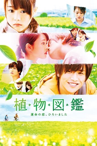 Evergreen Love Poster of Evergreen Love
