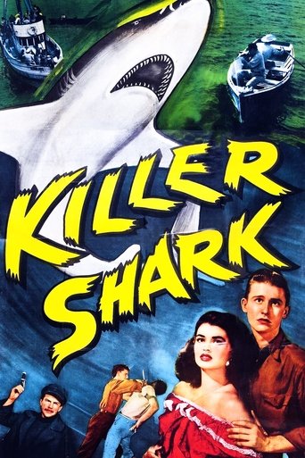 Killer Shark Poster of Killer Shark