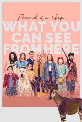What You Can See from Here Poster of What You Can See from Here
