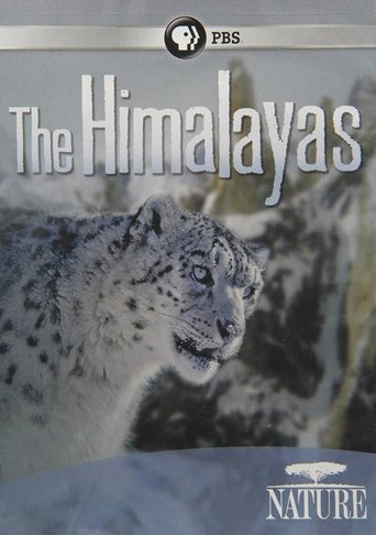 The Himalayas Poster of The Himalayas