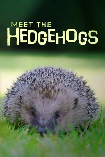 Meet the Hedgehogs Poster of Meet the Hedgehogs
