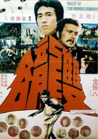 Valley of the Double Dragon Poster of Valley of the Double Dragon