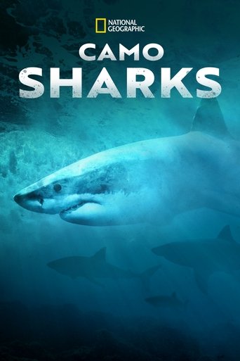 Camo Sharks Poster of Camo Sharks