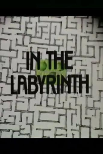 In the Labyrinth Poster of In the Labyrinth