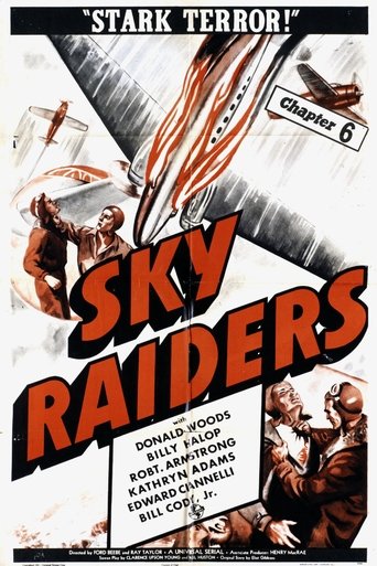 Sky Raiders Poster of Sky Raiders