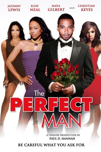 The Perfect Man Poster of The Perfect Man