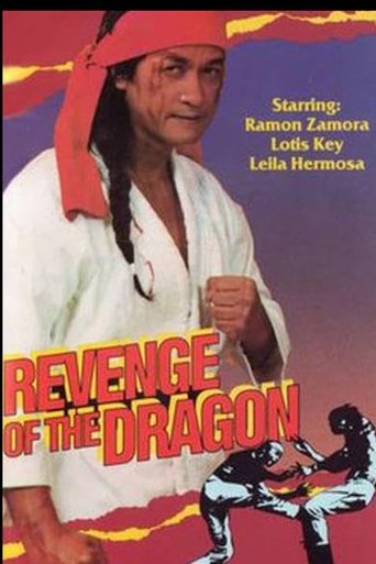 Revenge of the Dragon Poster of Revenge of the Dragon
