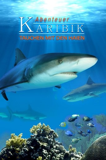 Adventure Caribbean 3D: Diving With Sharks Poster of Adventure Caribbean 3D: Diving With Sharks