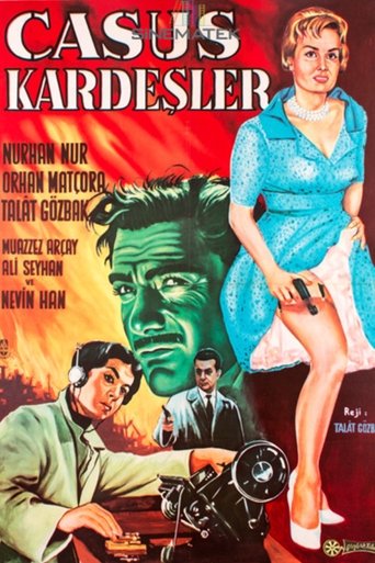 Spy Brothers Poster of Spy Brothers