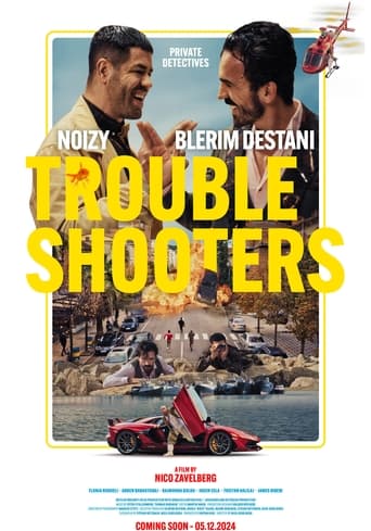 Troubleshooters Poster of Troubleshooters