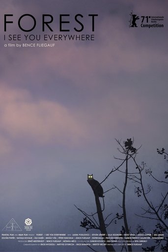 Forest: I See You Everywhere Poster of Forest: I See You Everywhere