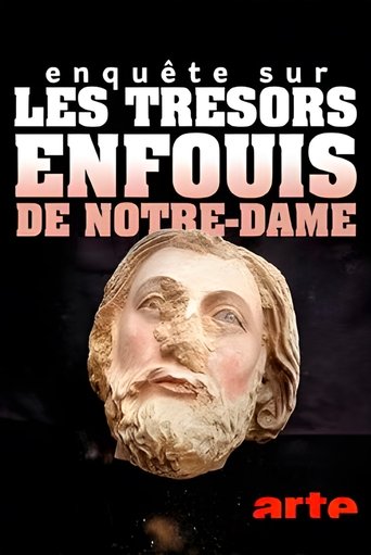 Enquête sur les trésors enfouis de Notre-Dame de Paris Poster of Enquête sur les trésors enfouis de Notre-Dame de Paris