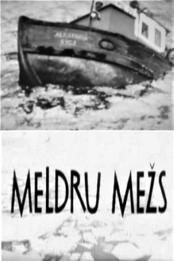 Meldru mežs Poster of Meldru mežs