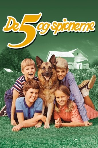 Five and the Spies Poster of Five and the Spies