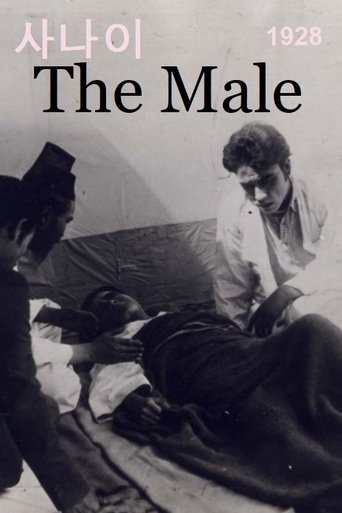 The Male Poster of The Male