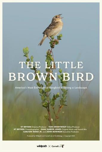 The Little Brown Bird Poster of The Little Brown Bird