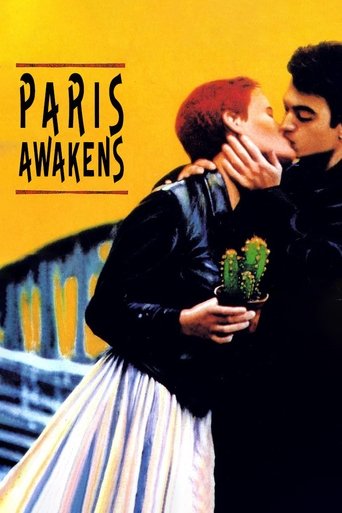 Paris Awakens Poster of Paris Awakens