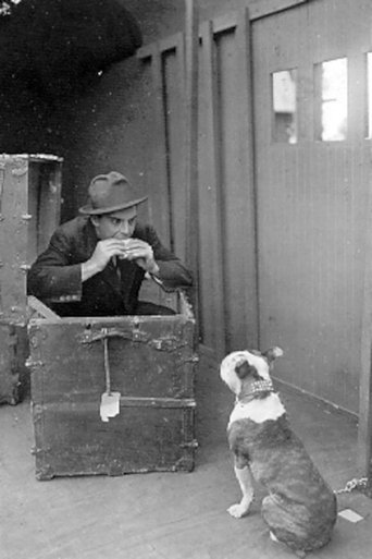 The Dog in the Baggage Car Poster of The Dog in the Baggage Car