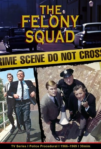 Felony Squad Poster of Felony Squad