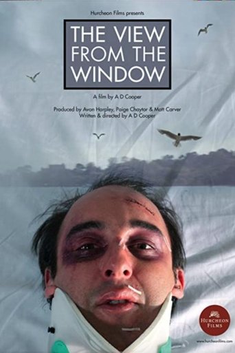 The View From The Window Poster of The View From The Window