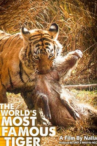 The World's Most Famous Tiger Poster of The World's Most Famous Tiger
