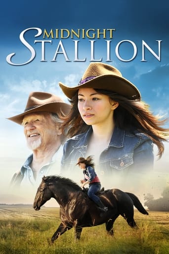 Midnight Stallion Poster of Midnight Stallion
