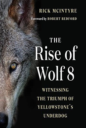 The Alpha Wolves of Yellowstone Poster of The Alpha Wolves of Yellowstone