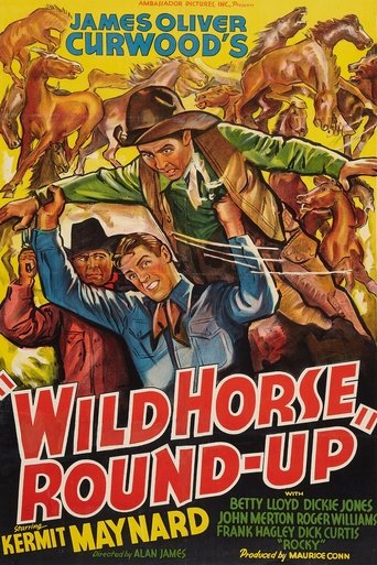 Wild Horse Round-Up Poster of Wild Horse Round-Up