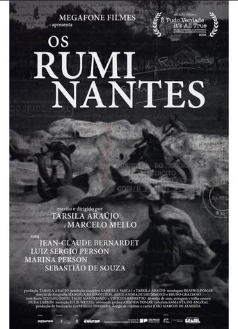 Os Ruminantes Poster of Os Ruminantes