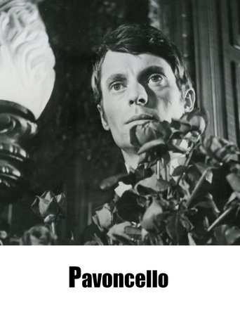 Pavoncello Poster of Pavoncello