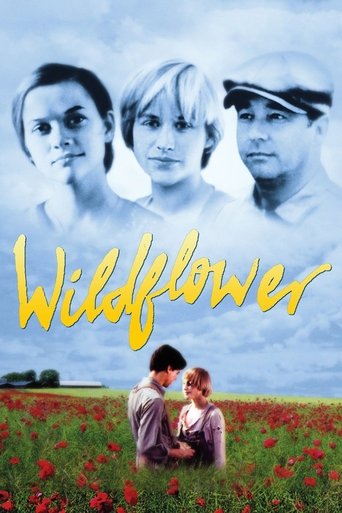 Wildflower Poster of Wildflower