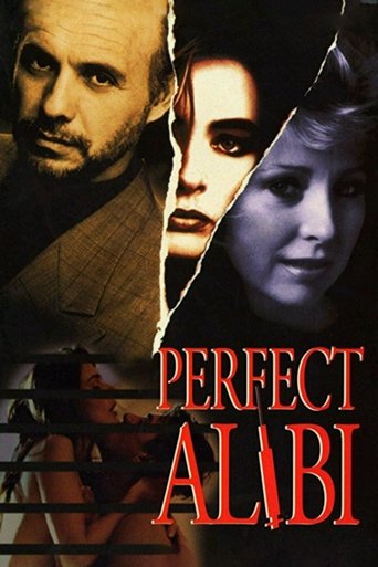 Perfect Alibi Poster of Perfect Alibi