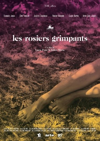 The Climbing Roses Poster of The Climbing Roses