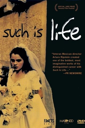 Such is Life Poster of Such is Life
