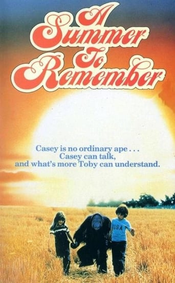 A Summer to Remember Poster of A Summer to Remember