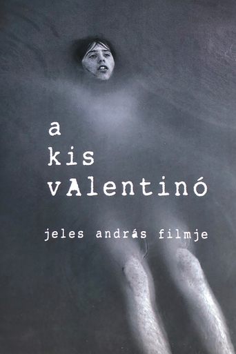 Little Valentino Poster of Little Valentino